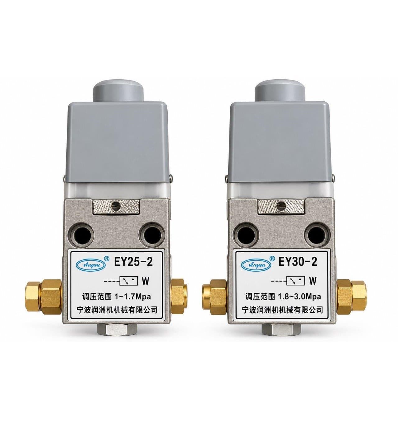 EY25-2 / EY30-2 Lubrication pressure check limit switch for Lubrication line of Injection molding machine. Pressure 1 - 1.7 MPa / 1.8 - 3.0 MPa
